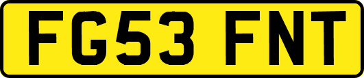 FG53FNT