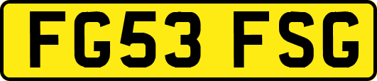 FG53FSG