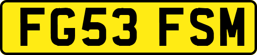 FG53FSM