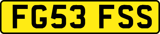 FG53FSS