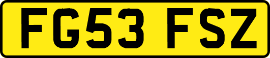 FG53FSZ
