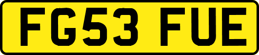 FG53FUE