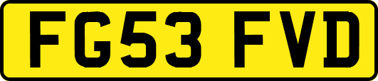 FG53FVD