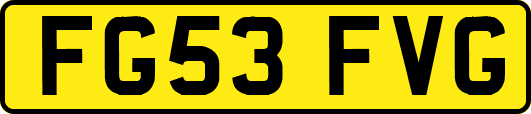FG53FVG