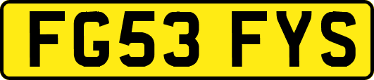 FG53FYS
