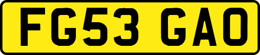FG53GAO