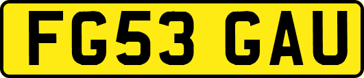 FG53GAU