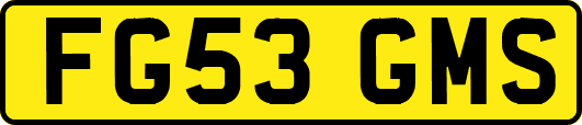 FG53GMS