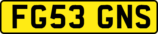 FG53GNS