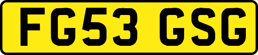 FG53GSG