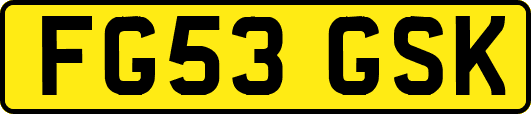 FG53GSK