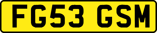 FG53GSM