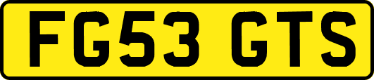 FG53GTS