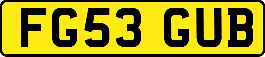 FG53GUB
