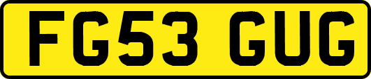 FG53GUG