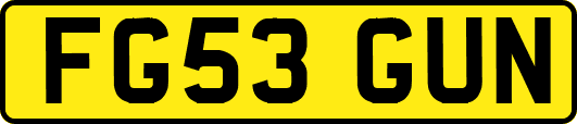 FG53GUN