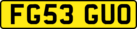 FG53GUO