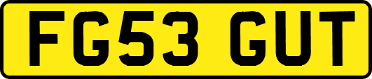 FG53GUT