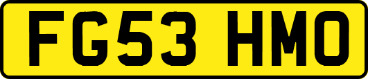 FG53HMO