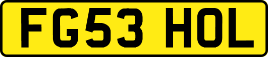 FG53HOL