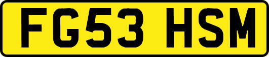 FG53HSM