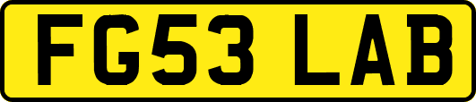 FG53LAB