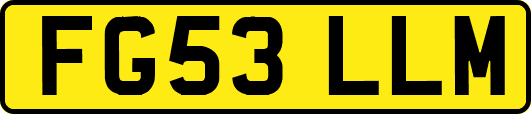 FG53LLM