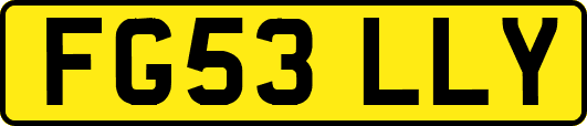 FG53LLY