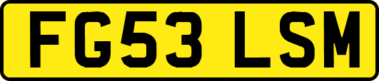 FG53LSM
