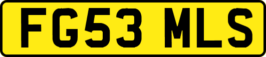 FG53MLS