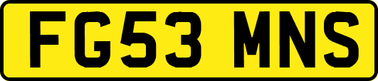 FG53MNS