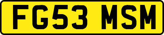 FG53MSM