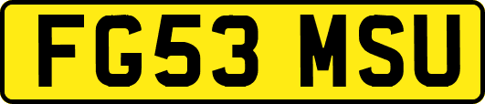 FG53MSU