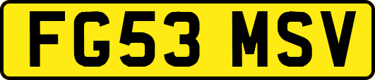 FG53MSV