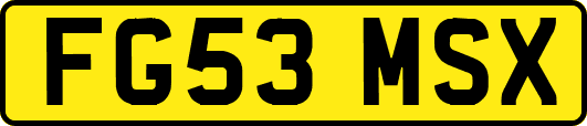 FG53MSX
