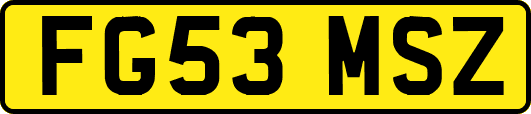 FG53MSZ