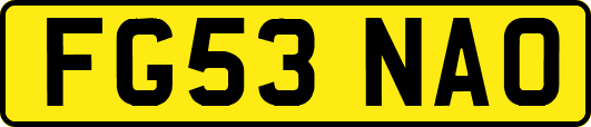 FG53NAO