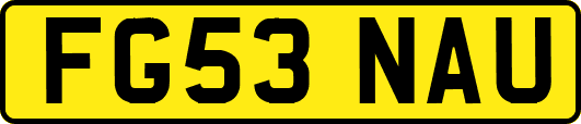 FG53NAU