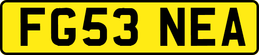 FG53NEA
