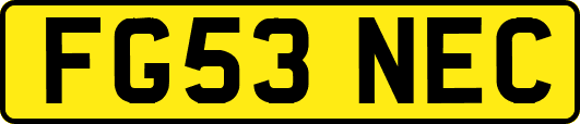 FG53NEC