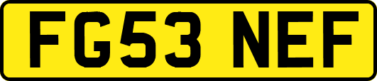 FG53NEF