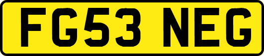 FG53NEG