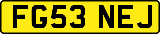 FG53NEJ