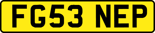 FG53NEP