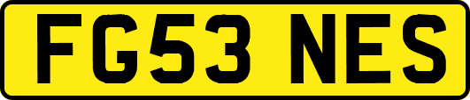 FG53NES