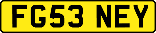 FG53NEY