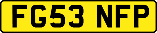 FG53NFP