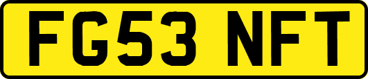 FG53NFT