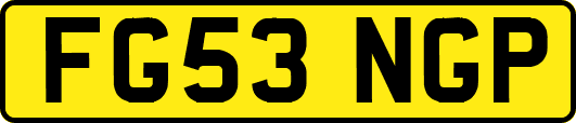 FG53NGP