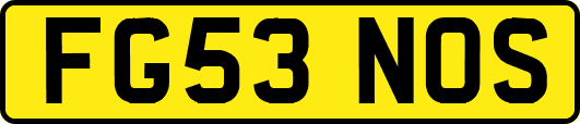 FG53NOS